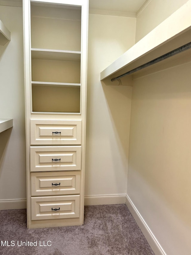 spacious closet with carpet floors