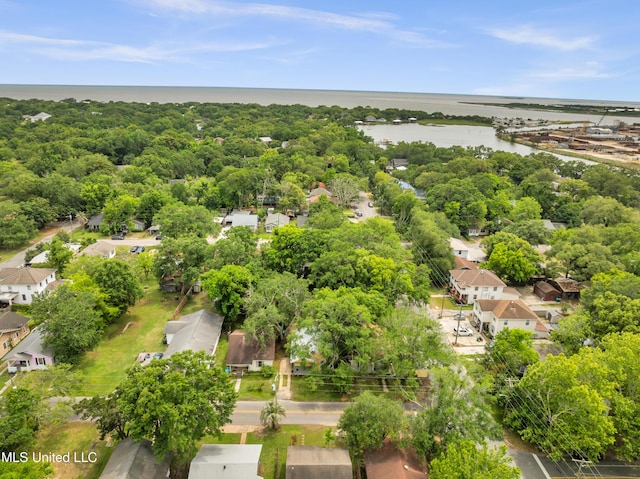 aerial perspective of suburban area with a large body of water