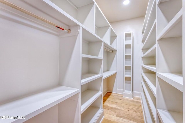 spacious closet featuring light wood-type flooring