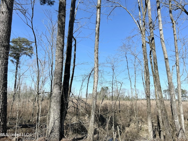 Listing photo 2 for Morton Rankin Co Line Rd, Morton MS 39117