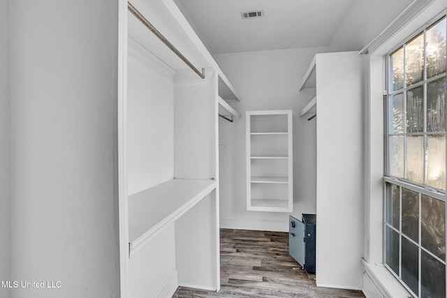 spacious closet featuring dark hardwood / wood-style flooring