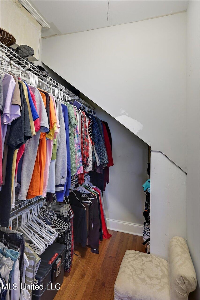 spacious closet with dark wood-type flooring