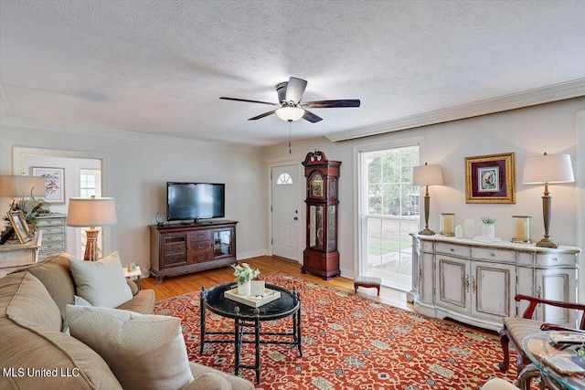 living room featuring ornamental molding, a textured ceiling, light wood-type flooring, and ceiling fan