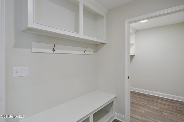 mudroom featuring wood-type flooring