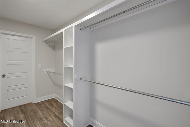 spacious closet with dark hardwood / wood-style floors