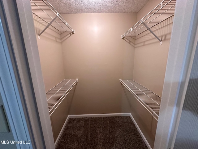 7807 S Chesterfield Dr, Southaven, MS 38671 - spacious closet featuring carpet flooring