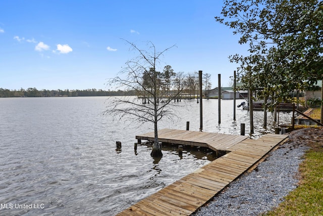 dock area featuring a water view