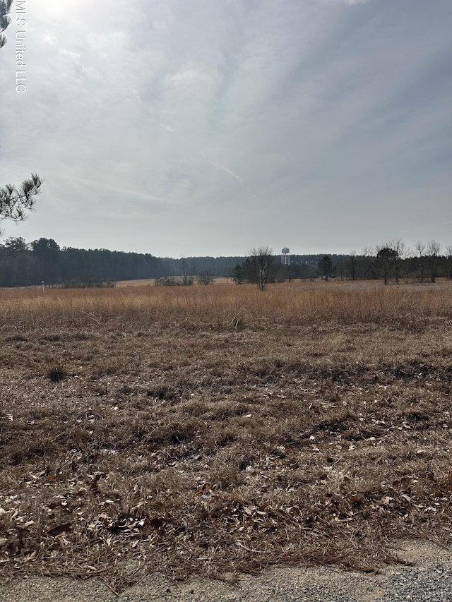 0 Bowen Rd, Mendenhall MS, 39114 land for sale