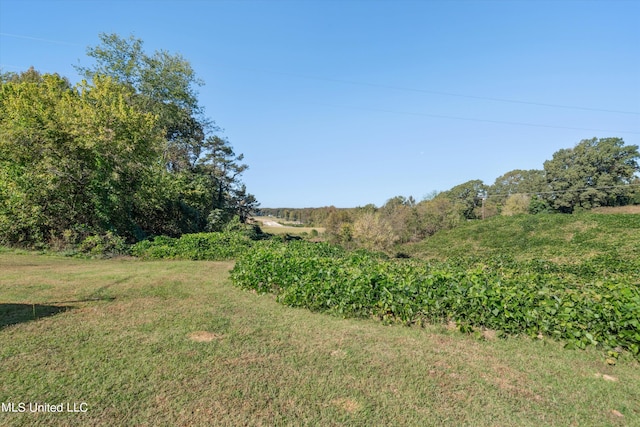 46 Tyro Rd, Holly Springs, MS 38635 - exterior space