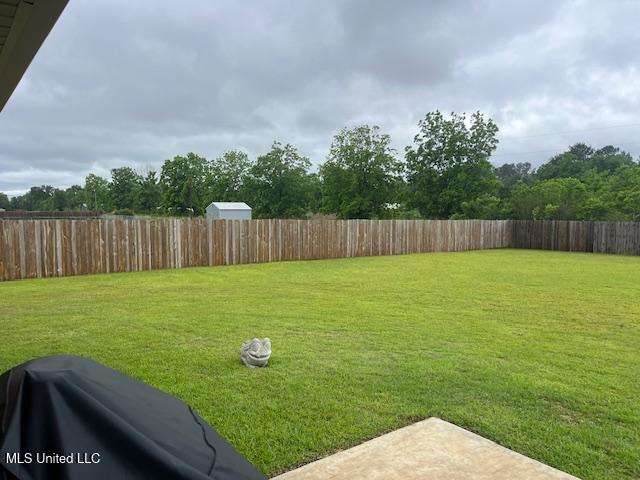 view of yard featuring a patio area