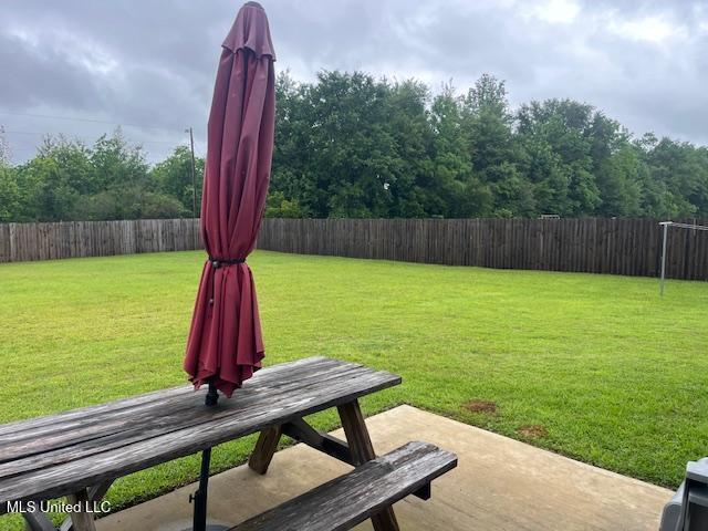 view of yard featuring a patio