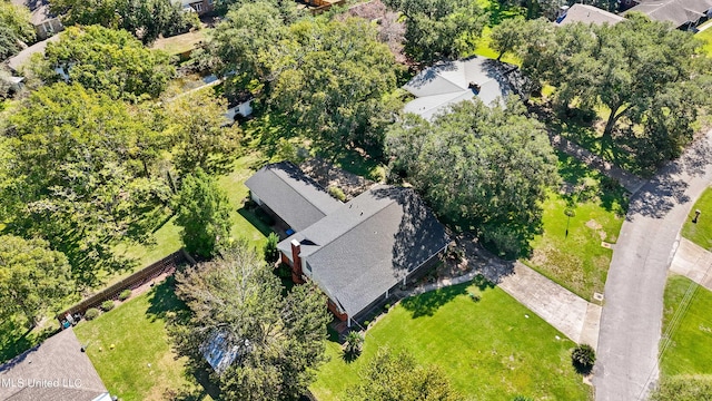 bird's eye view