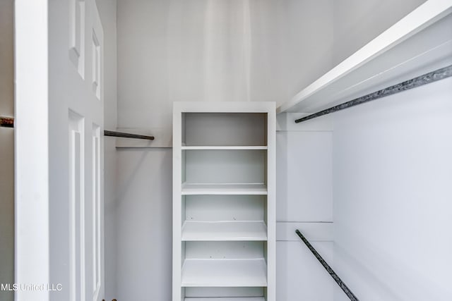 view of walk in closet