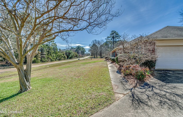 view of yard featuring an attached garage