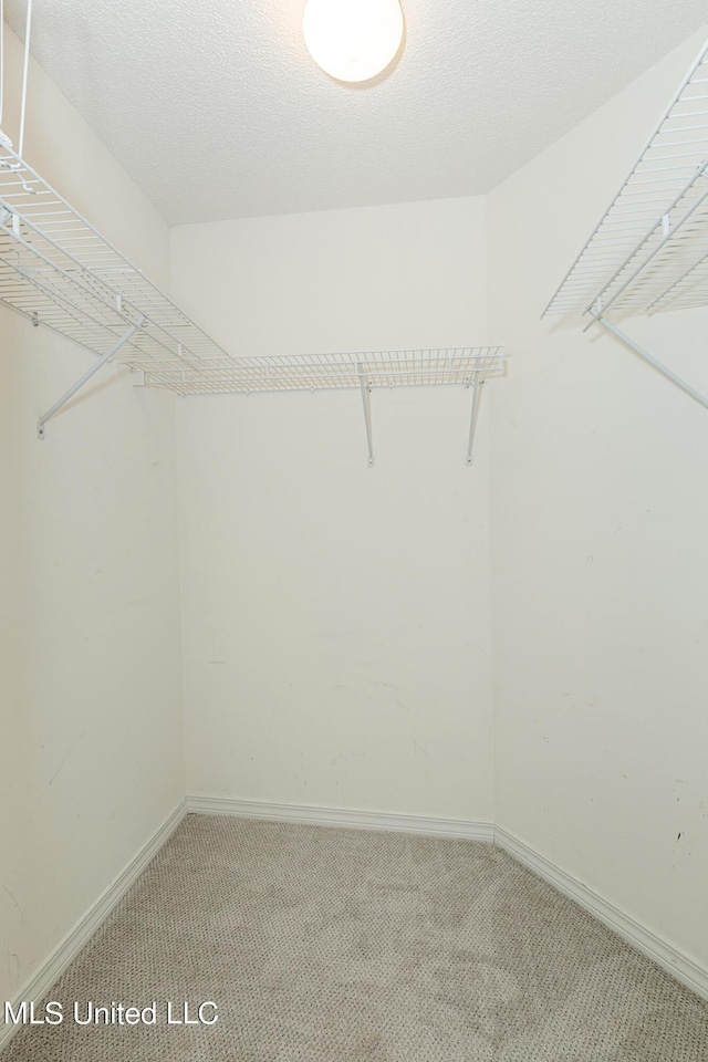 walk in closet featuring carpet flooring