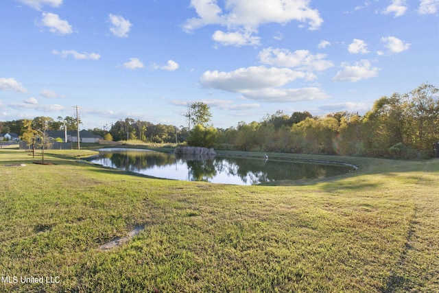229 Reservoir Way, Brandon, MS 39047 - water view