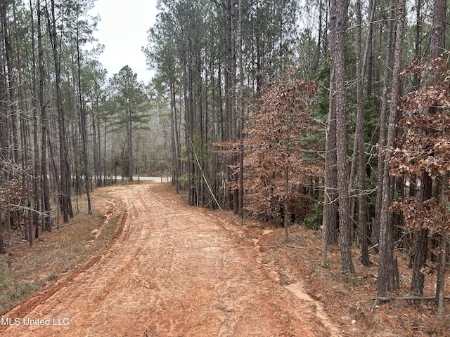 Pelahatchie Rd, Pelahatchie MS, 39145 land for sale