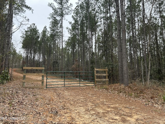 Listing photo 2 for Pelahatchie Rd, Pelahatchie MS 39145