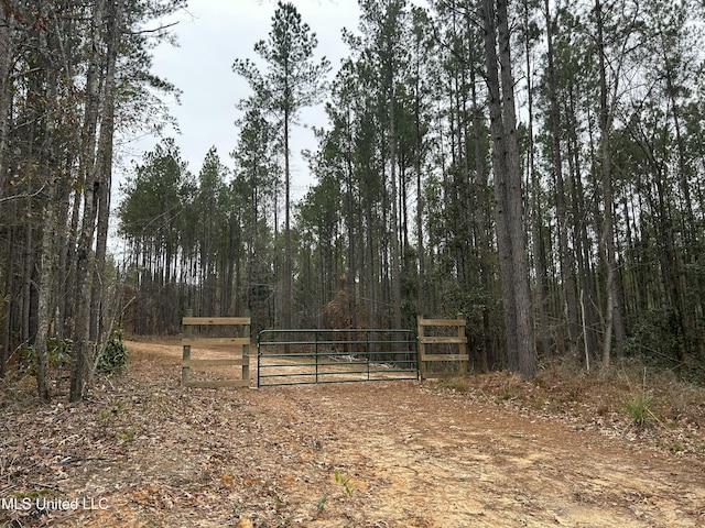 Listing photo 3 for Pelahatchie Rd, Pelahatchie MS 39145