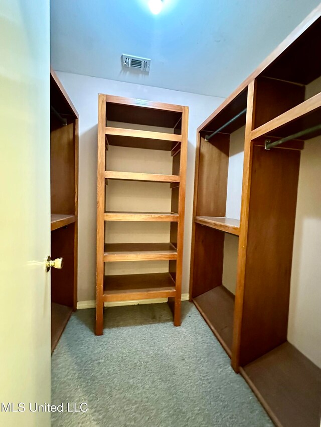 walk in closet with carpet floors