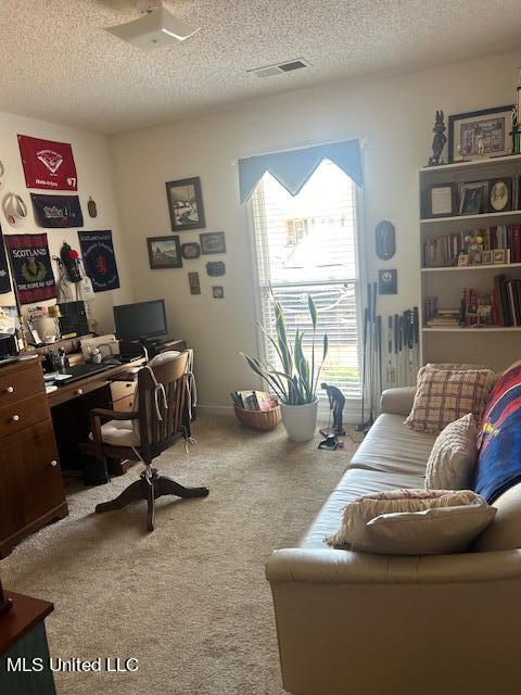 office with light carpet and a textured ceiling