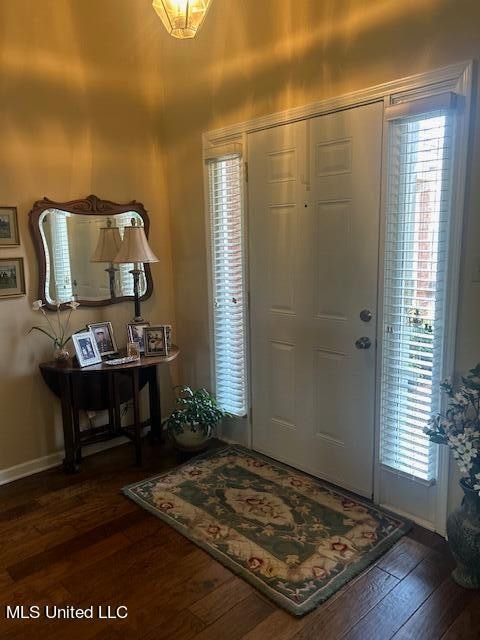 foyer with dark wood-type flooring and plenty of natural light