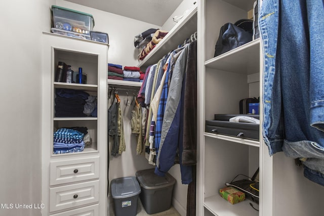 view of walk in closet