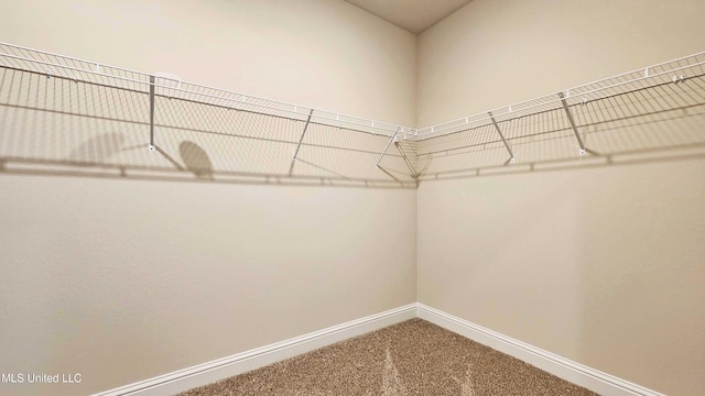 15109 Windmill Ridge Parkway, Diberville, MS 39540 - walk in closet with carpet