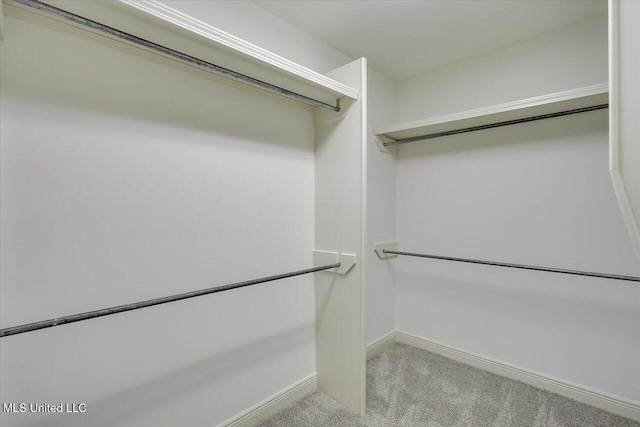 207 Keystone Pl, Brandon, MS 39042 - walk in closet featuring light colored carpet