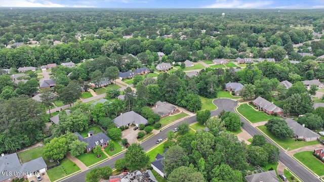 207 Keystone Pl, Brandon, MS 39042 - aerial view of property's location featuring nearby suburban area and a forest