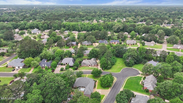 207 Keystone Pl, Brandon, MS 39042 - view of property location with nearby suburban area and a forest