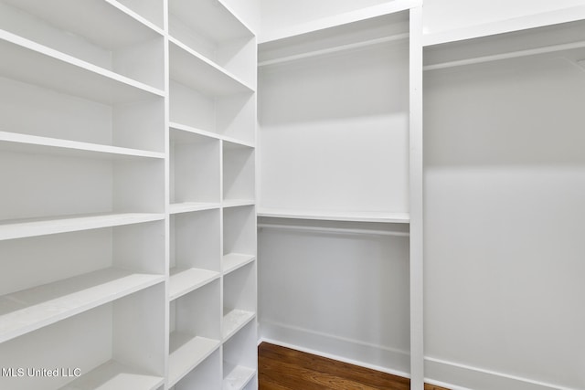 spacious closet with dark wood-type flooring