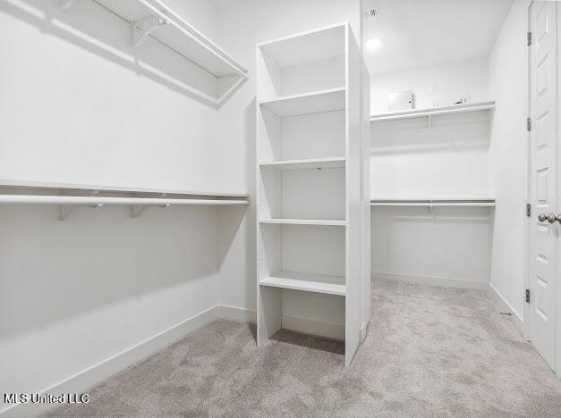 spacious closet featuring light carpet