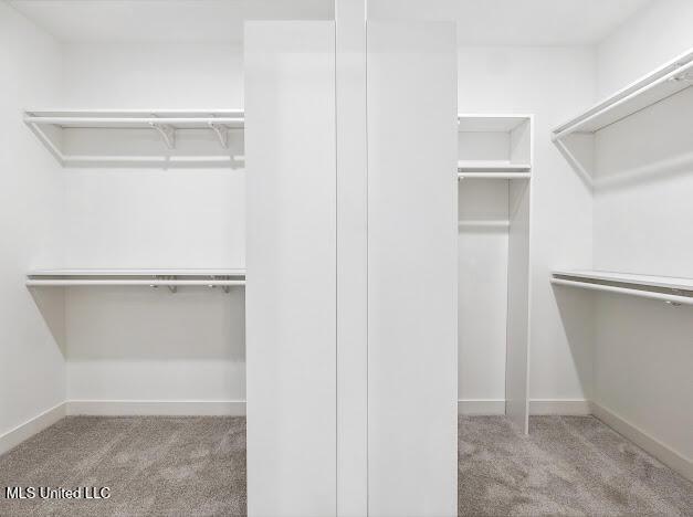 walk in closet with light carpet