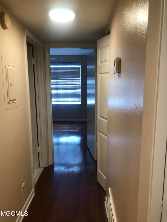 corridor with dark hardwood / wood-style floors