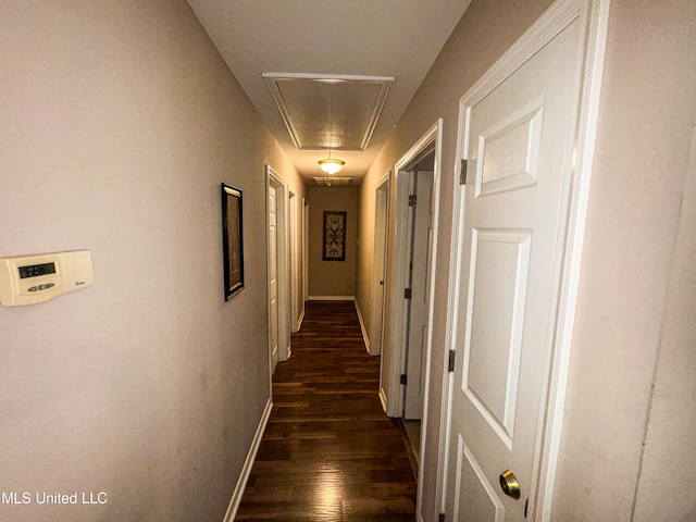 corridor featuring dark wood-type flooring