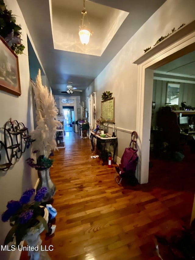 hallway with hardwood / wood-style floors