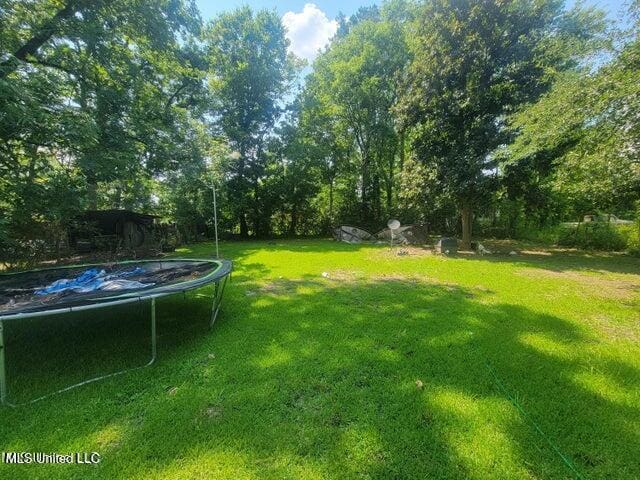 1317 Elise Ave, Yazoo City, MS 39194 - view of green lawn with a trampoline