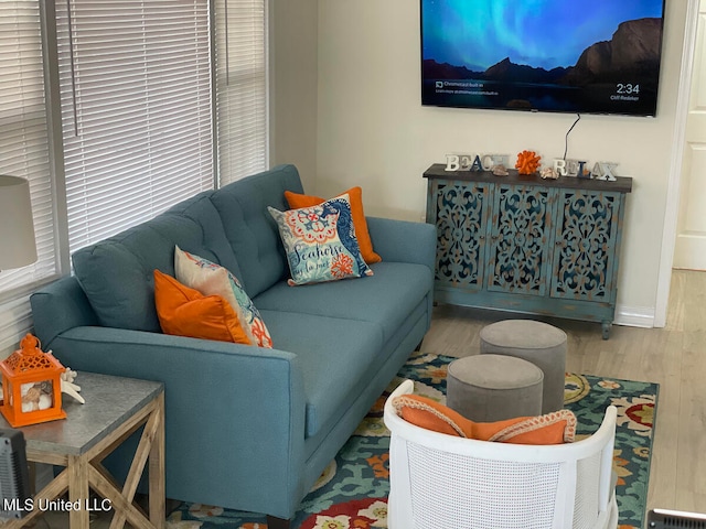 living room with hardwood / wood-style flooring