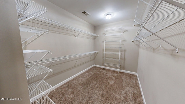 walk in closet featuring visible vents and carpet floors