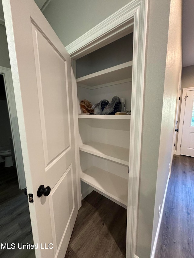 view of closet