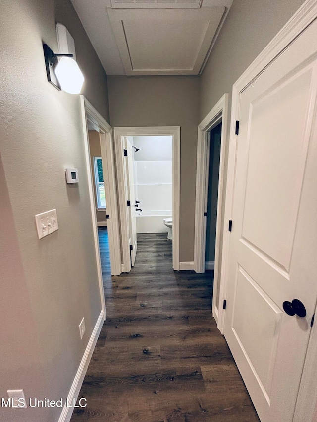 hallway featuring dark hardwood / wood-style floors