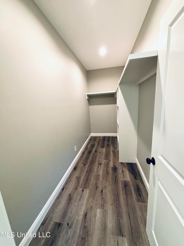 walk in closet with dark hardwood / wood-style floors