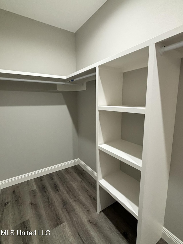 walk in closet with dark hardwood / wood-style flooring