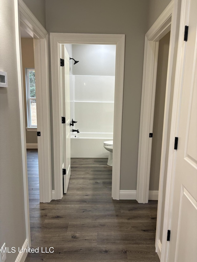 corridor with dark hardwood / wood-style floors