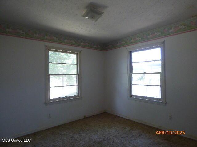 empty room featuring a textured ceiling and carpet