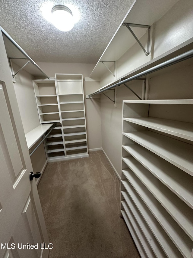 walk in closet with dark colored carpet