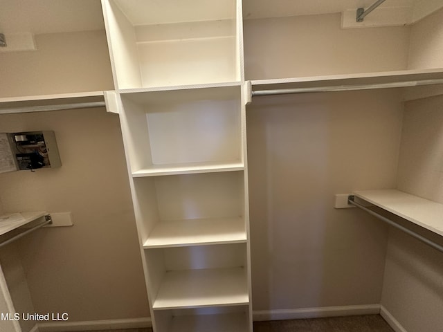 view of spacious closet