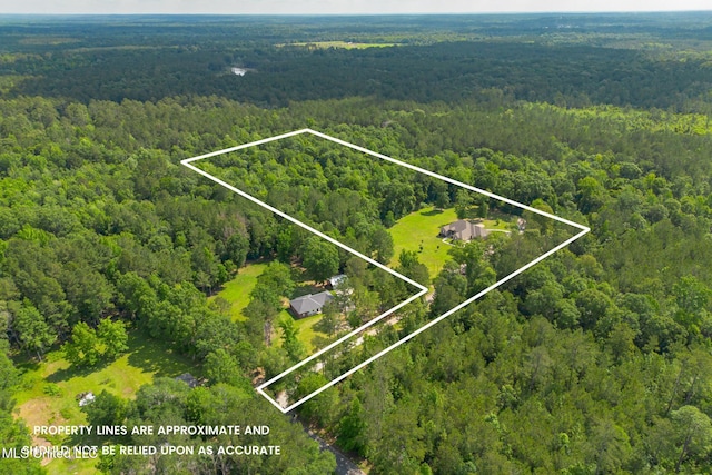 48 Harrell Rd, Hattiesburg, MS 39401 - aerial view of property's location featuring a forest and property boundaries highlighted