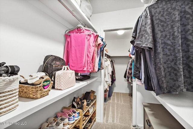 walk in closet with carpet floors